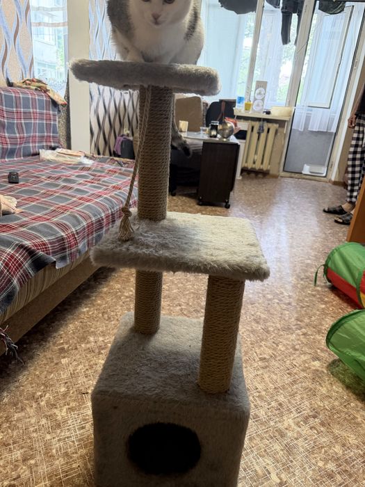 Продам домик для кошки