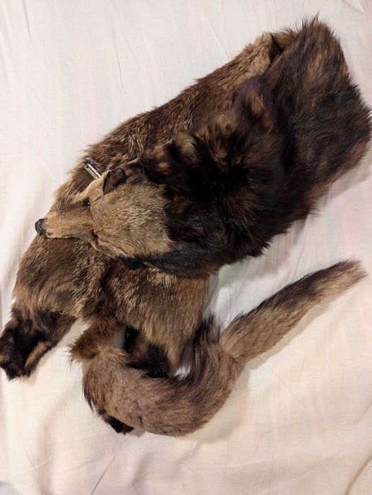 Кожена яка-лисица