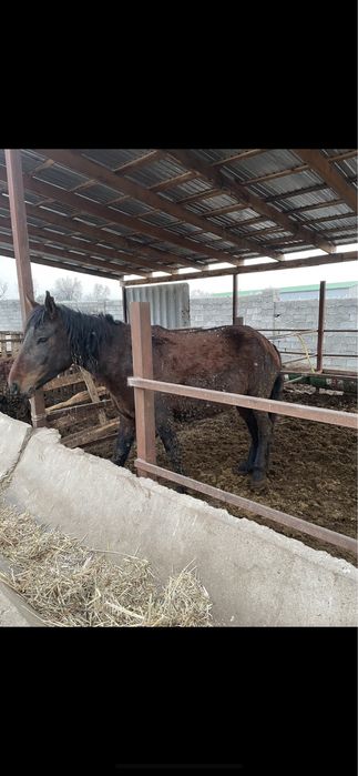 Пром база, аренда,