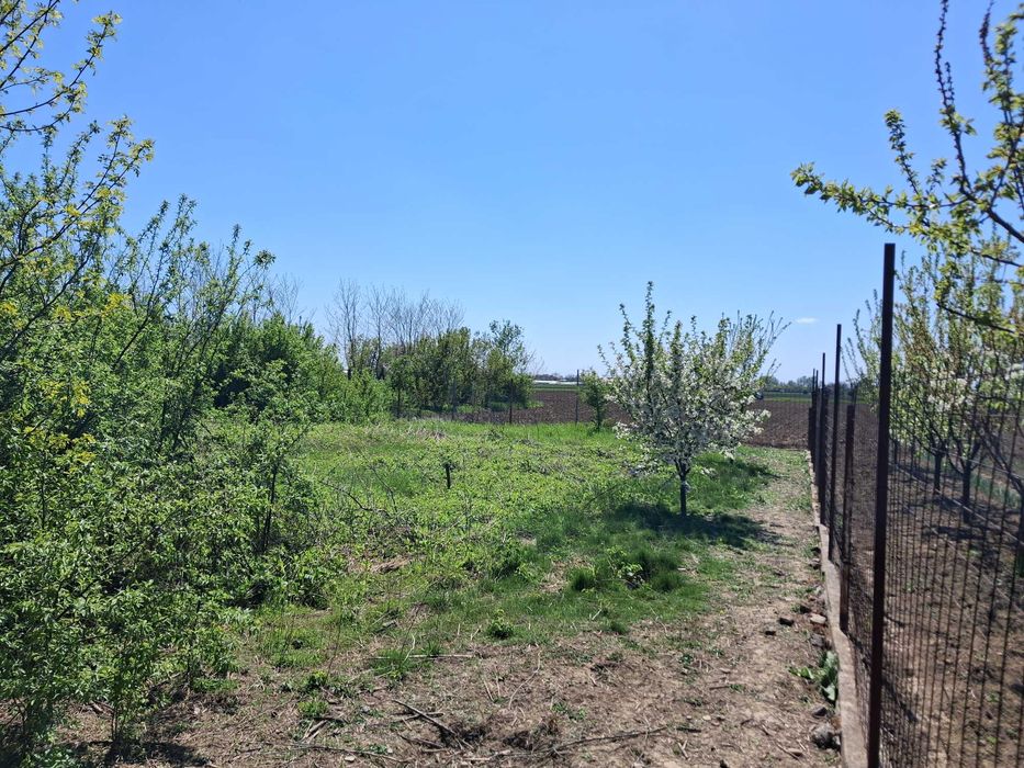 Casă + 1900 mp teren, utilități complete, gaze la poartă, 5 min DN1A – Cornești, Cristeasca