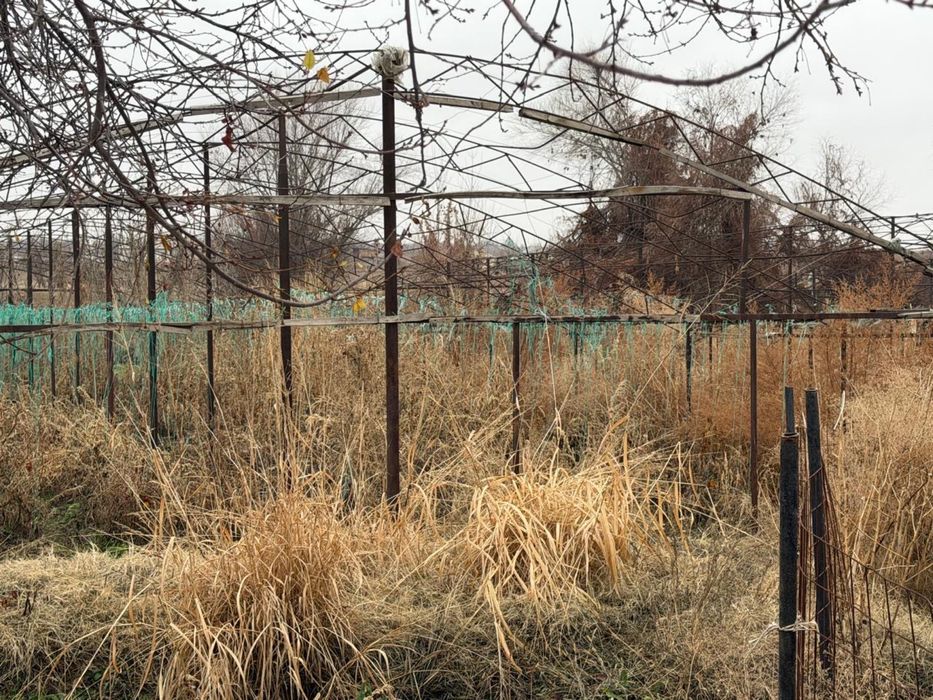 Парник качество жақсы