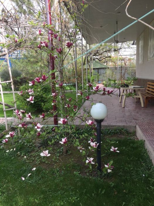 Статусная недвижимость у реки Чирчик с высоким инвестиционым потенциал