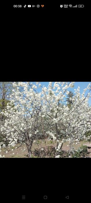 Продам дачу район ГМЗ