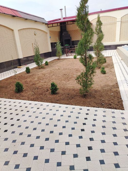 Gazon ruloniy yevro urugʻ