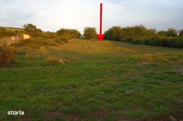 cota de 3/8 din teren extravilan 5000 mp, Alba-Iulia, Jud Alba