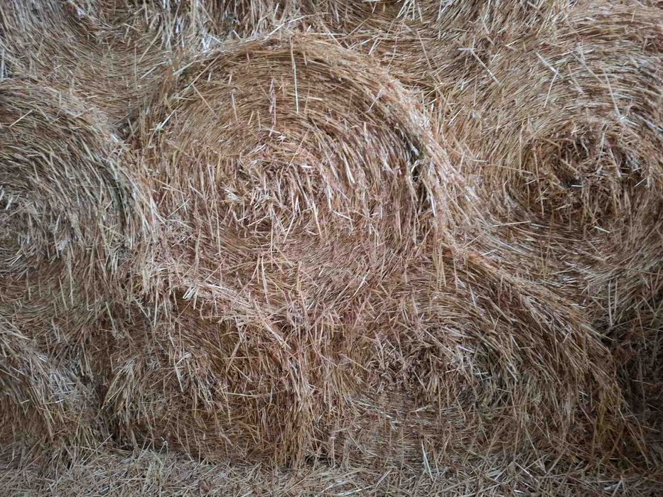 Рулонни бали люцерна