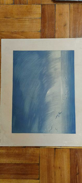 Гравюра офорта художника Бибиков "Чайки" афорта картина антиквариат