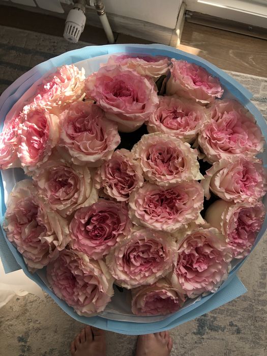 Роза 21 шт 5000тг