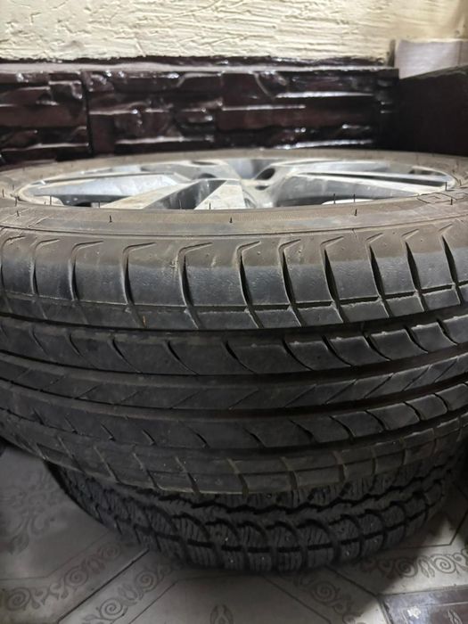 Веста Ларгуст диска