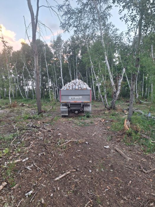 Продам дрова  чурками , колотые