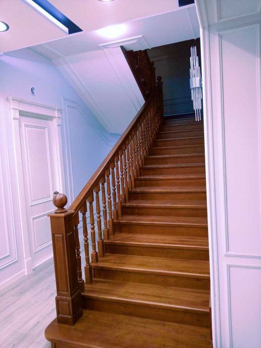 Lesnisa zinalari barcha turdagi