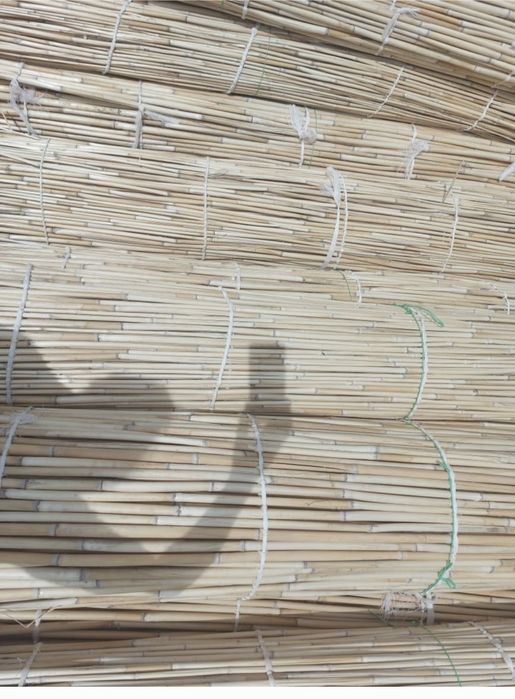 Қамыс    Камыс  .