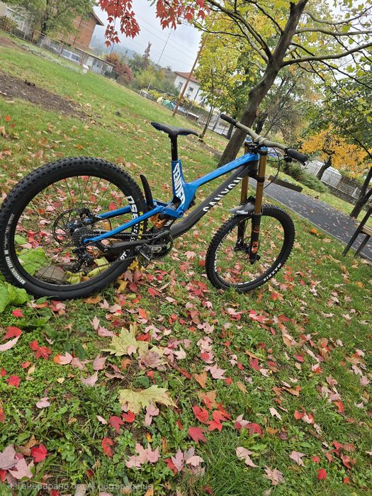 Canyon sender cf9 2017