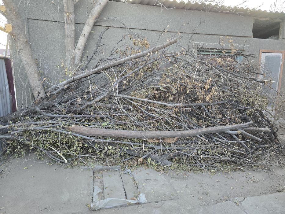 Отдам Дрова Даром