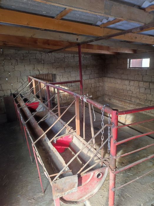 Продается откормочная Фазенда