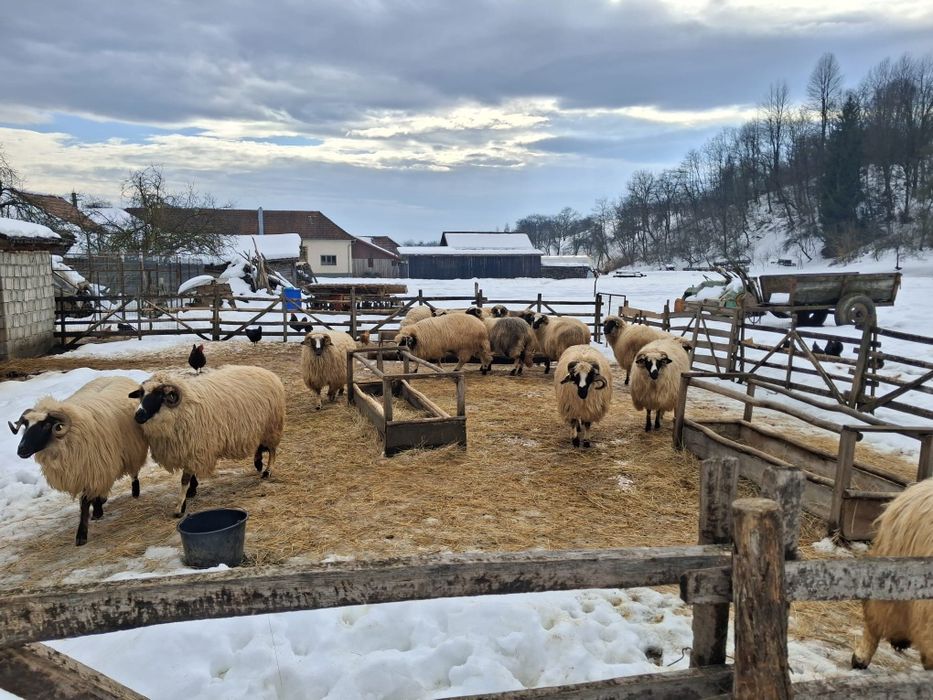 Vand breze in Fintoag