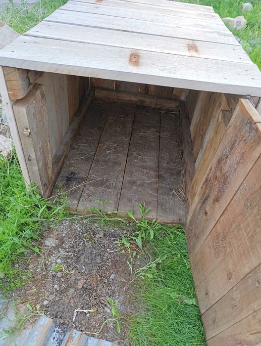 Будка для собаки