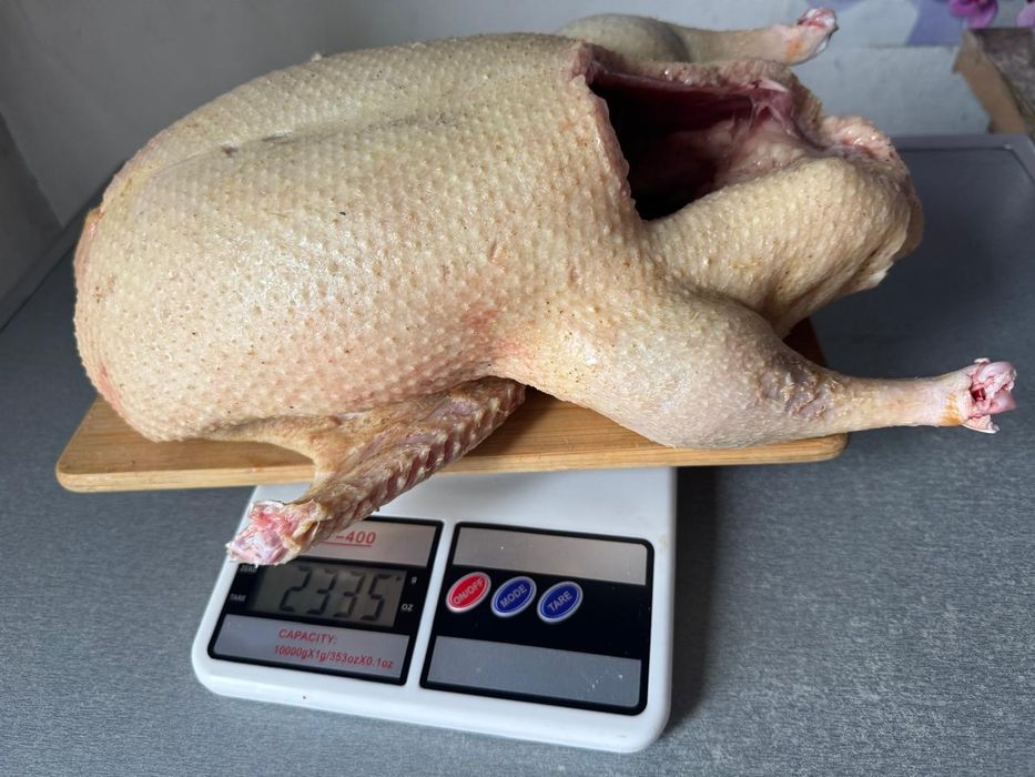 Продам мясо утки домашней