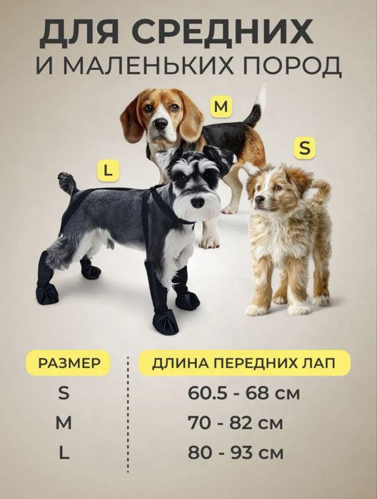 Зимняя куртка для собаки