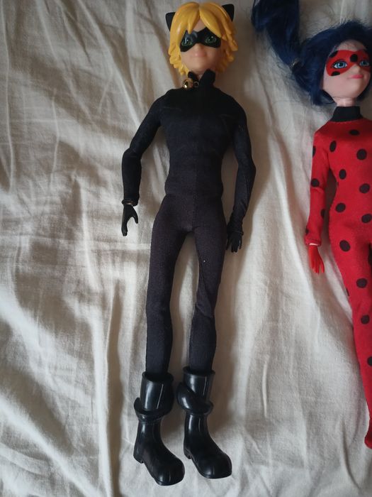 Калинката и черния котарак