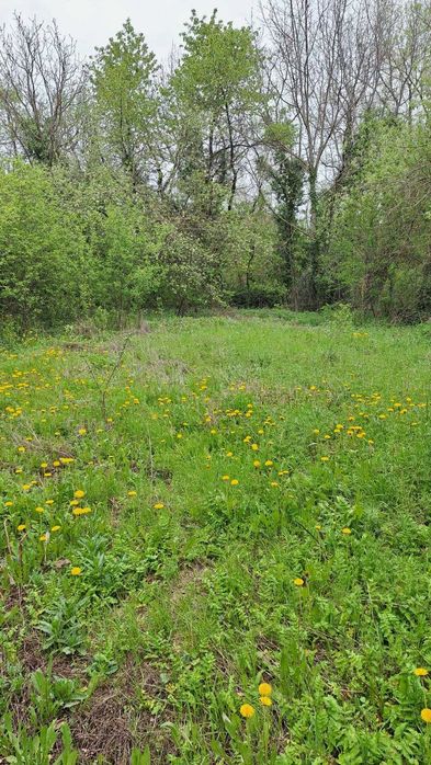 Продава се Къща в с. Буря, Област Габрово - 136 кв.м за 289 €/кв.м - Снимка #19