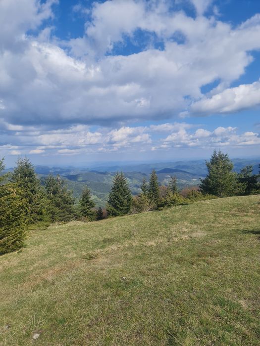 Продава се Земеделски имот в с. Давидково, Област Смолян -  кв.м за 15000 €/дка - Снимка #6