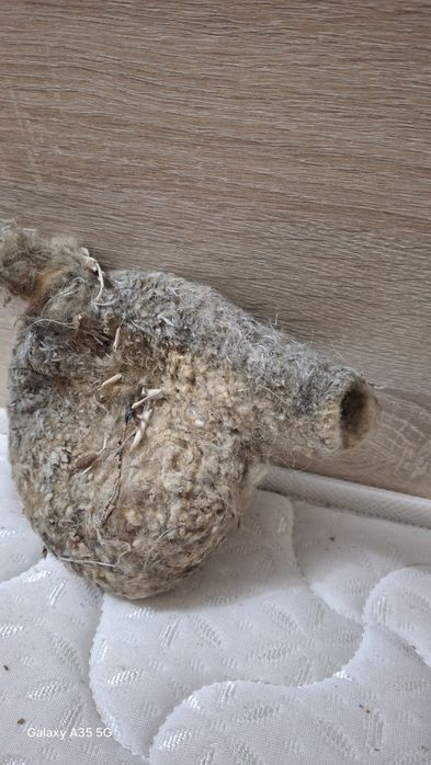 Құрқылтай ұясы  сатылады