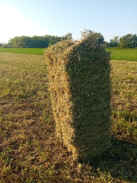 Vand Baloti lucerna ,coasă a 3,