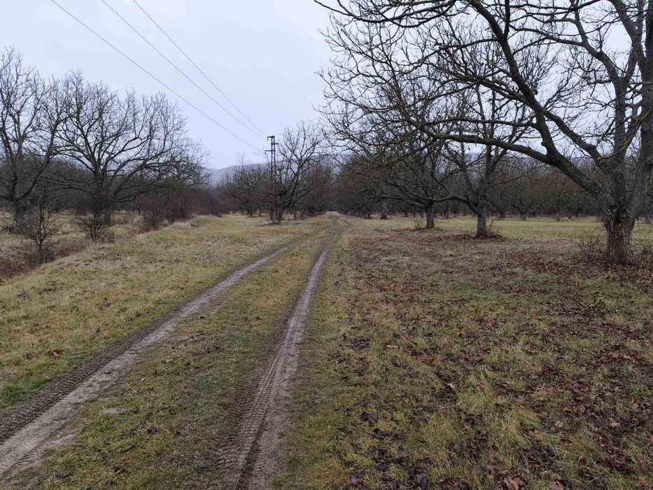 Продава се Земеделски имот в Стара Загора, Център -  кв.м за 3188 €/дка - Снимка #3