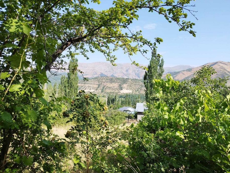 Срочно продается земельный участок с ОРДЕРом 9.54 сот {Нанай}