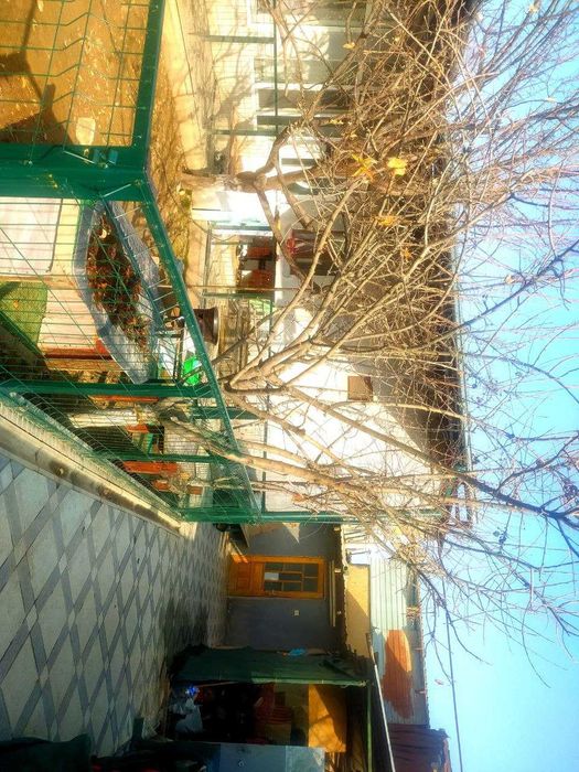 ТТЗ атрофида Ховли сотилади 4 хона 4.2 сотик ! ТТЗдан 2 км Кадирлик