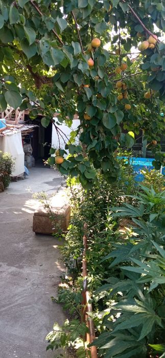 Продается свой дом в Кибрае