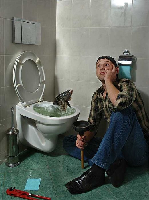 Услуги сантехника. Прочистка канализации, чистка труб. Замена унитаза.