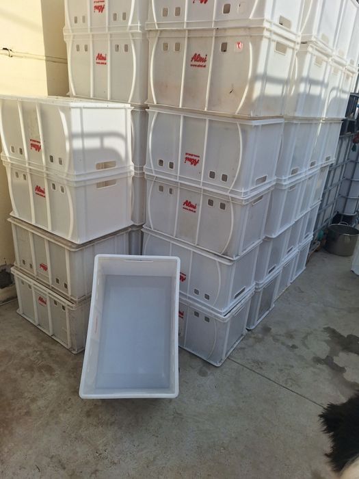 Lazi alimentare  60/40/40