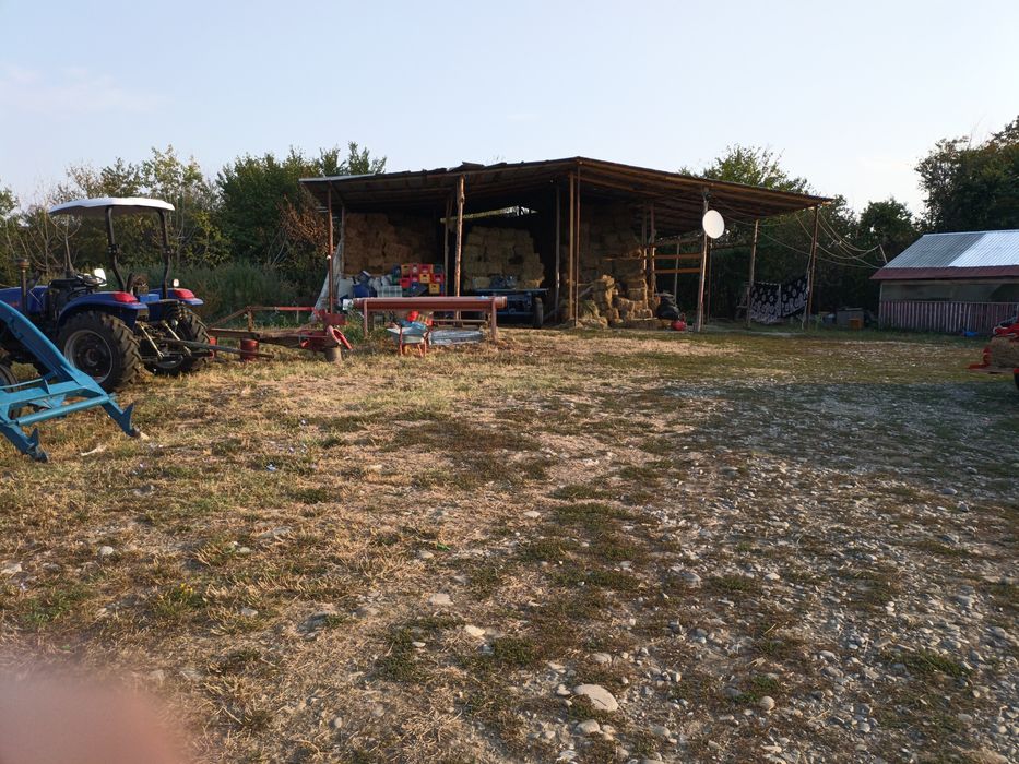 VAND FERMA 87000 euro negociabil