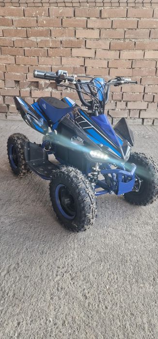 ATV Ultra Raptor Electric 800w, nou adus din Germania
