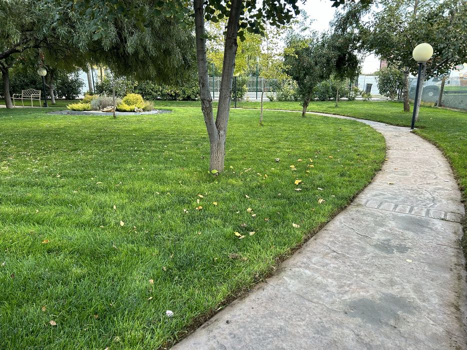 Озеленяване,изграждане на поливни системи,цялостна поддръжка