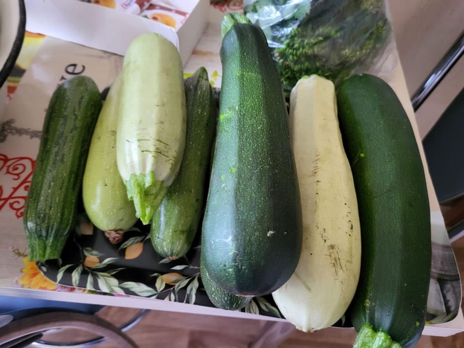 Продам кабачки домашние