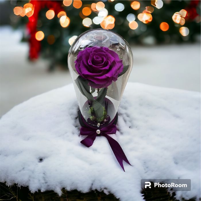 Trandafir mov in cupola cristalina de 17-20-25 cm