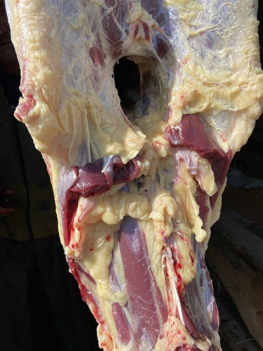 Жирные бараны кой токты марка