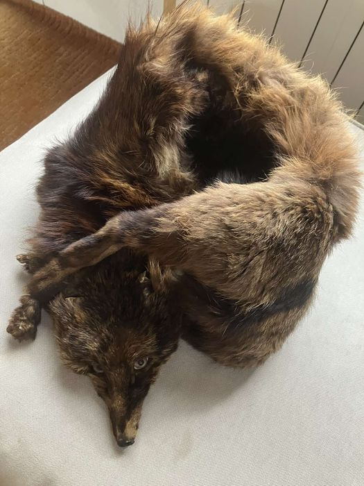 Яка от цяла естествена лисица