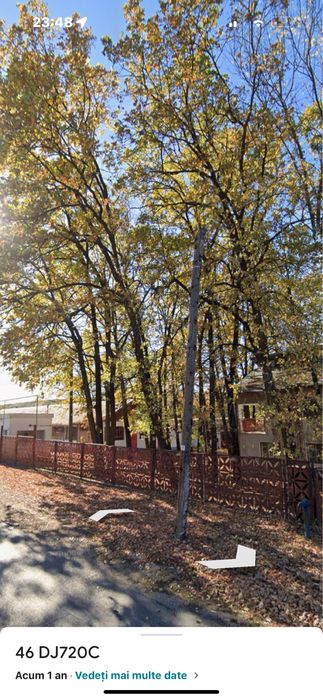 Spatii de inchiriat GURA OGNITEI