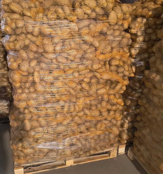 Vand cartofi consum,calibru 60+