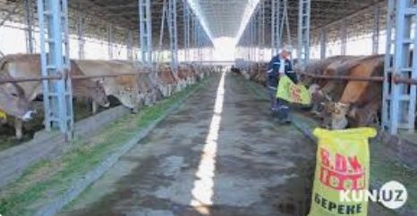 корим махсус гранула бокма молар учун аткоримлар