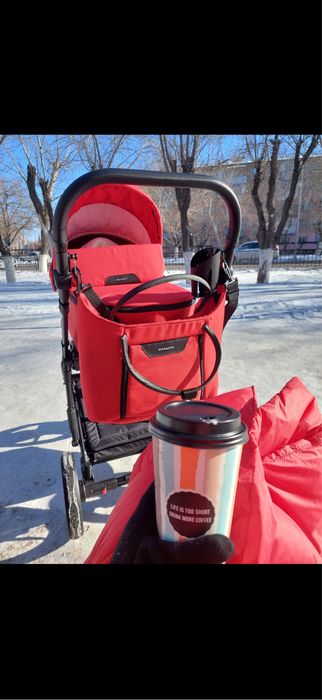 Детская коляска 2 в 1 Adamex Адамекс