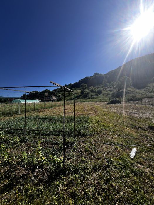 Spatiu popas rulote/corturi Caciulata