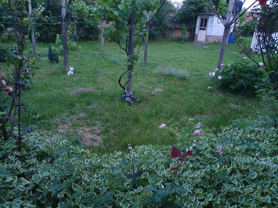 Къща с голям двор 1670 кв.м в с. Асен – близо до Павел баня и Казанлък