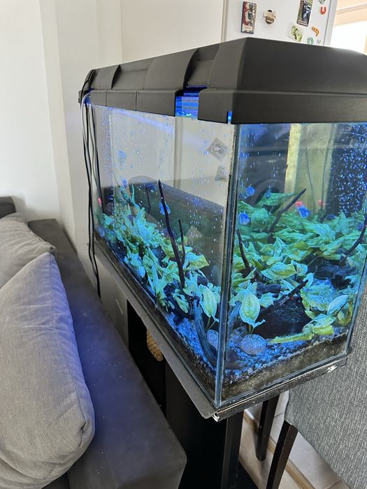 Acvariu 150L complet utilat