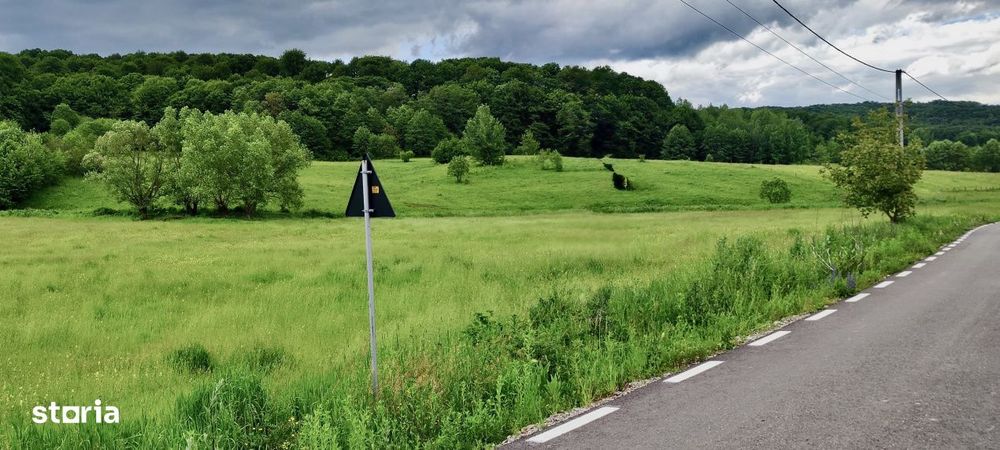 Teren larg 2 ha, la padure, panoramic dealuri si rau, cu curent, DJ