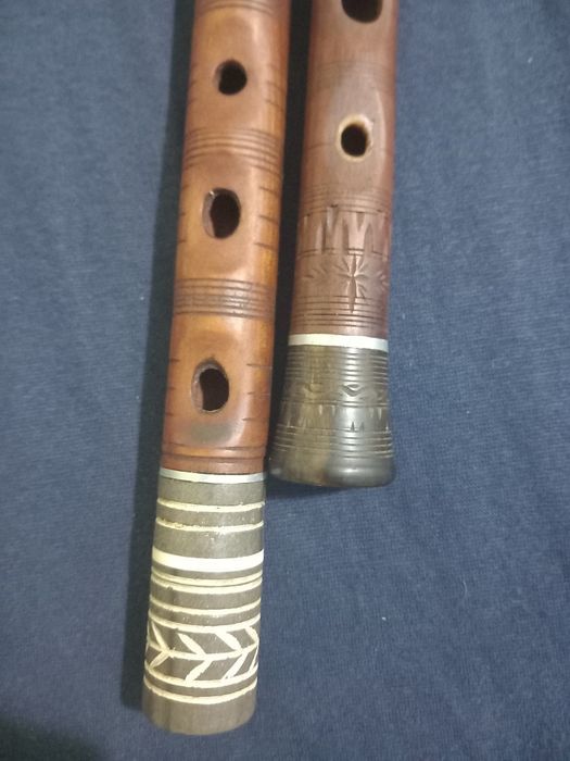 Сол и Ре гайдуници